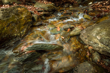 Wall Mural - Cedar Run. Shenandoah National Park