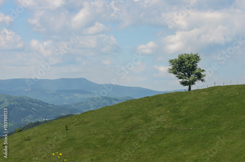 A beautiful mountain landscape with a lonely tree against the sky with clouds Poster