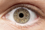 Fototapeta  - Macro photo of human eye, iris, pupil, eye lashes, eye lids.