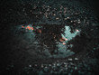 © Hofschulz & Schoppa - Reflektion vom Sonnenuntergang in einer Pfütze auf einer asphaltierten Straße im Wald