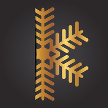 Vector Illustration Of Snowflake