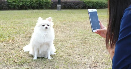 Sticker - Woman taking photo on her dog