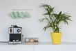 © WavebreakMediaMicro - Coffeemaker, pot plant and mugs hanging on hook