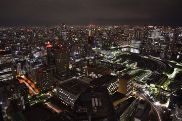 Wall Mural - 東京の夜景