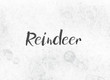 Reindeer Concept Painted Ink Word and Theme