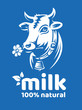 Cow natural milk illustration - head of a horned cow with a bell - emblem, logo design