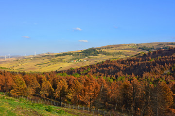 Italia, tipiche colline coltivate dei monti Appennini. Paesaggio 5