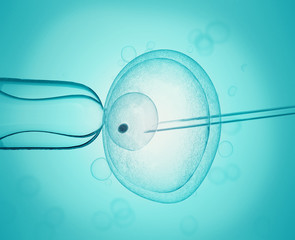 Wall Mural - artificial insemination cell under the microscope