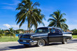 Amerikanischer schwarzer Chevrolet Oldtimer parkt am Strand unter Palmen in Varadero Cuba - Serie Cuba Reportage