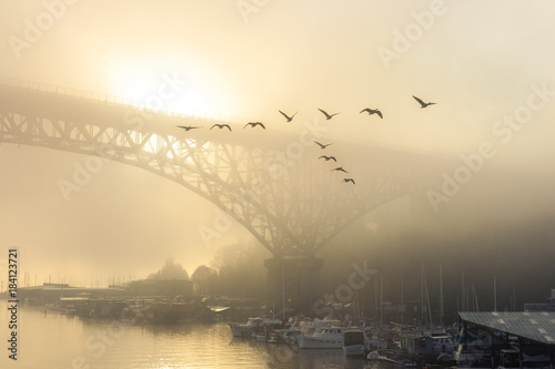 Naklejka most we mgle  zloty-mglisty-poranek-nad-jeziorem-union-z-lodziami-mieszkalnymi-mostem-i-ptakami
