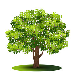 Wall Mural - detached tree with green leaves