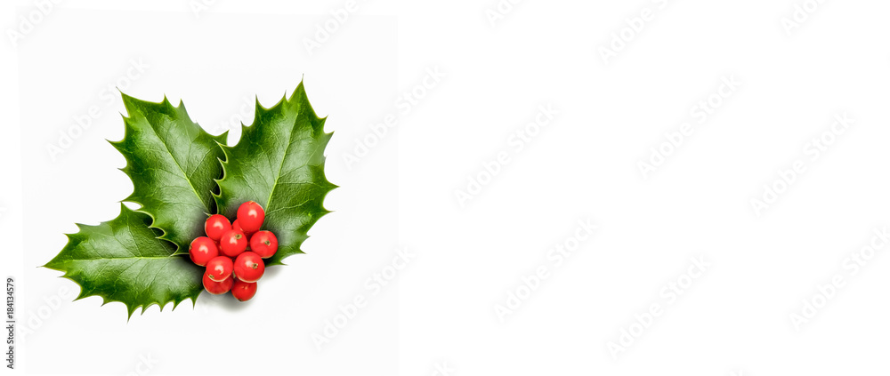 Weihnachtszweig Stock Photo