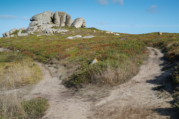 O Grove, Galicia, Spain