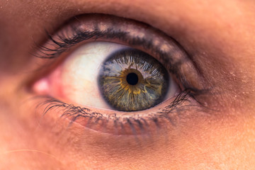 close-up of a female human green eye