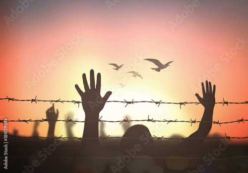 Cuadros en Lienzo International migrants day concept: Silhouette refugee hands raising and barbed wire on autumn sunset background