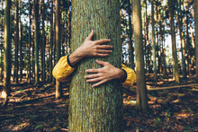 Man Hugging Tree Bark