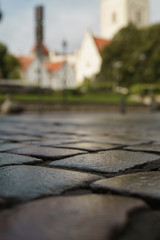 Wall Mural - low angle shot of wet old pavement in Tallinn