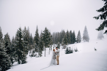 Beautiful couple stands in winter pine forest, woman in grey wedding dress and long veil, bearded man in sweater