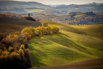 Tuscany, Val d'Arbia, panoramic landscape – Italy