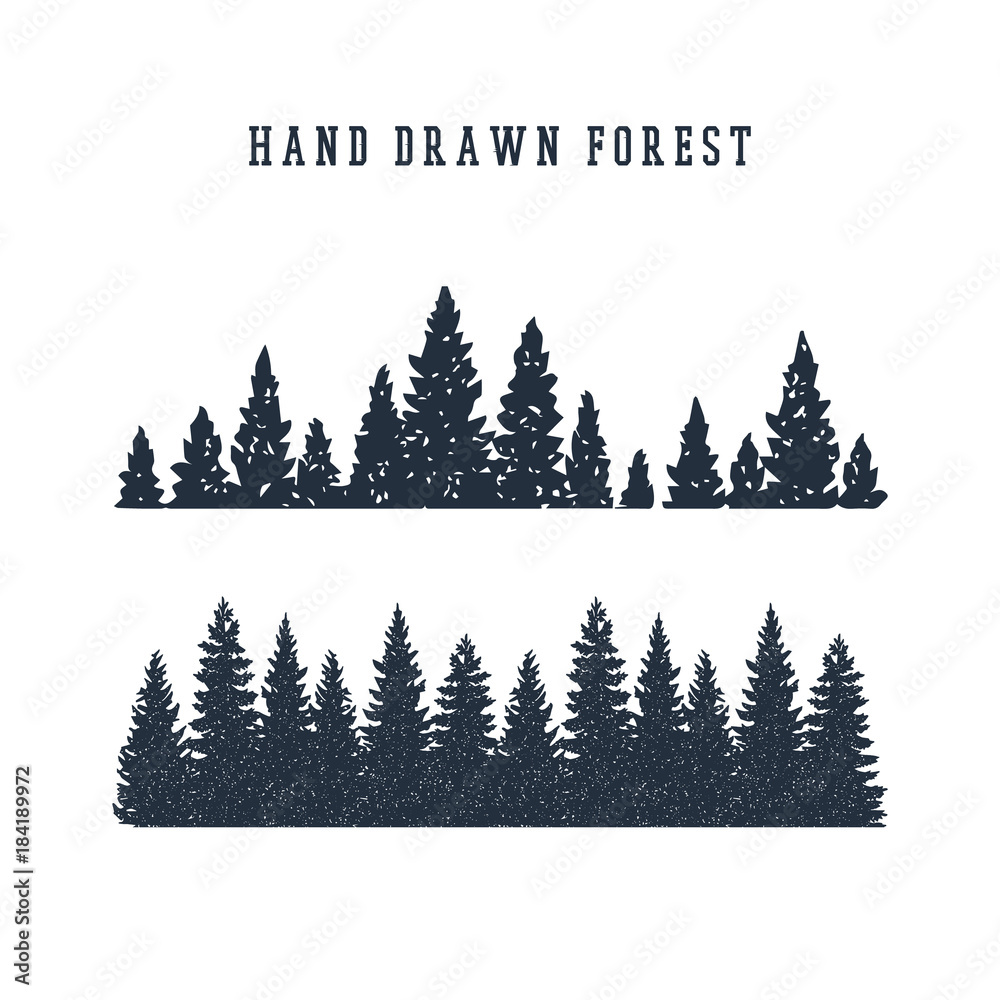 Hand drawn pine forest textured vector illustration. Stock Vector ...