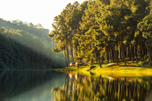 Pine Forest Park At Pang-ung, Mae Hong Son Province, North Of Thailand