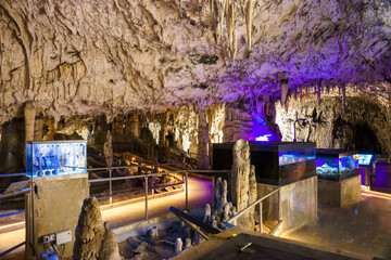 Postojna cave, Slovenia. Formations inside cave with stalactites and stalagmites. Low light image.