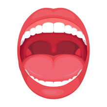  Vector Illustration Of A  Anatomy Human Open  Mouth. Medical Diagram  