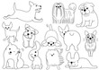 dog doodle line art set