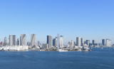 Fototapeta Zwierzęta - 日本の東京都市景観「青空の広がる東京港や晴海、勝どきなどを望む」（画面左には、墨田区にある東京スカイツリーなども見える）