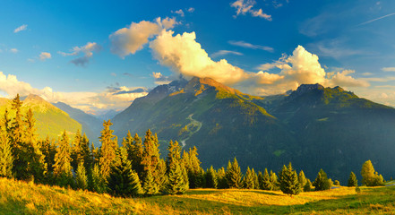 Wall Mural - view of evening mountains in summer