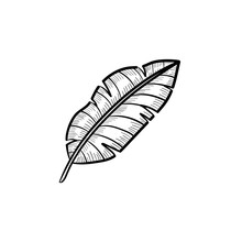 Vector Hand Drawn Banana Leaf Outline Doodle Icon