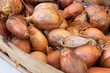 Braune Zwiebeln auf einem Marktstand