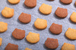 © TYSB - Food concept Spot focus fresh homemade bake Butter sugar cookies two tone cat shape in baking tray