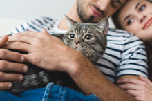 Close-up Shot Of Young Couple Holding Cat In Hands And Embracing