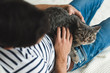 © LIGHTFIELD STUDIOS - top view of young man petting cute tabby cat