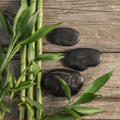 Obraz na płótnie bambus roślina aromaterapia zdrowy widok
