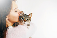 Girl Kisses A Beautiful Cat, Beautiful Girl Hugs A Cat, Girl Holding A Cat, Gentle Picture Of A Beautiful Cat And Girl