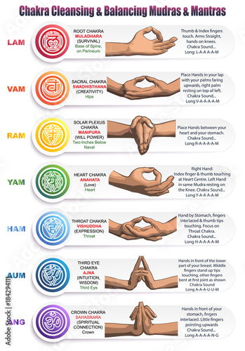 Chakras Mudras & Mantras Wallpaper Mural