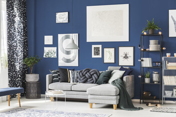 Wall Mural - Navy blue room with gallery