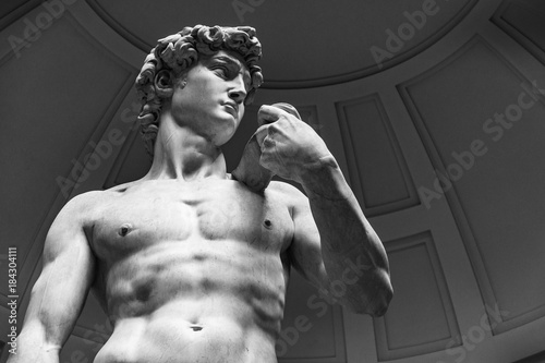 David by Michelangelo, Florence Canvas Print