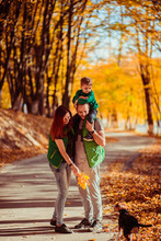 Happy Parents Have Fun Posing With Their Little Son In A Golden Autumn Park And Play With A Dog