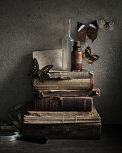 Butterflies And Books