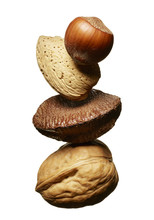 Hazelnut, Almond, Brazil Nut And Walnut