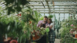 © silverkblack - Happy young florist couple in apron working in greenhouse. Cheerful woman embrace her husband watering flowers with garden pot