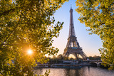 Fototapeta Most - Sunrise at the Eiffel tower during autumn, Paris