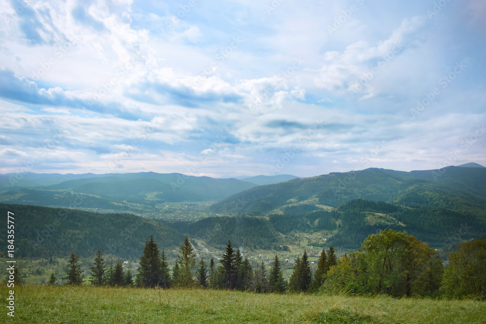 Beautiful landscape with mountain forest