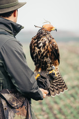 falconer with hawk on the hand