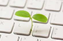A Small Green Plant Growing From White Computer Keyboard / Green Computing / Moral And Ethics In Information Technology