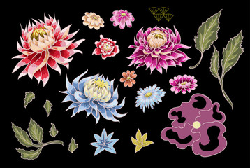 Set of painted flowers asters. Japanese style. For textile design or printing.