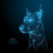 Abstract Image Of Head Of The Dog In The Form Of A Starry Sky Or Space, Consisting Of Points, Lines, And Shapes In The Form Of Planets, Stars And The Universe. Vector Animal. RGB Color Mode